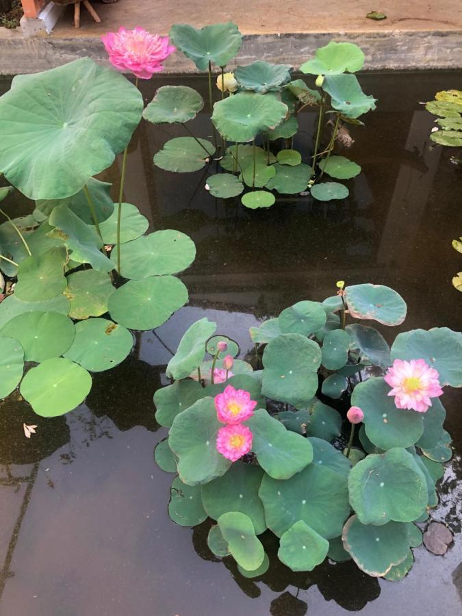 Leranda Homestay Huế Kültér fotó