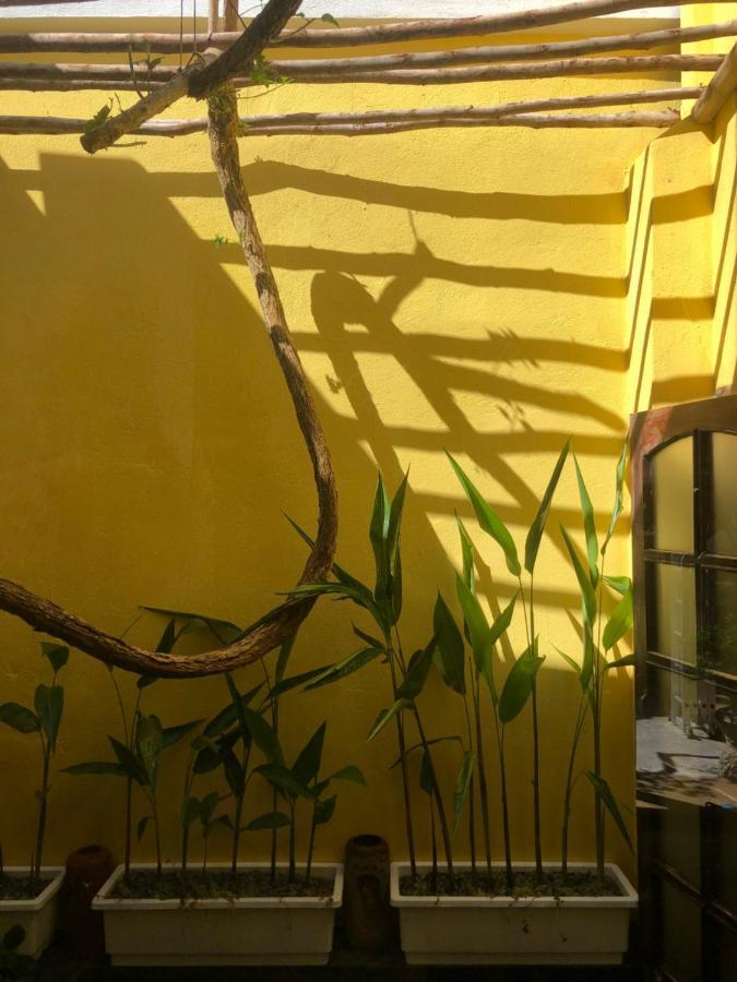 Leranda Homestay Huế Kültér fotó