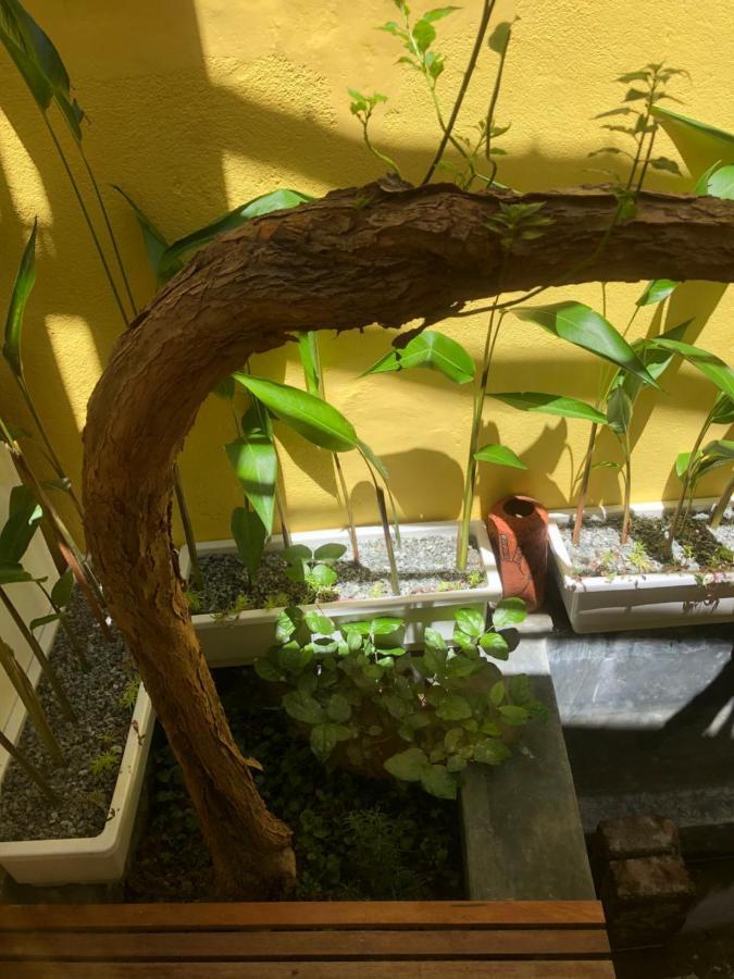 Leranda Homestay Huế Kültér fotó